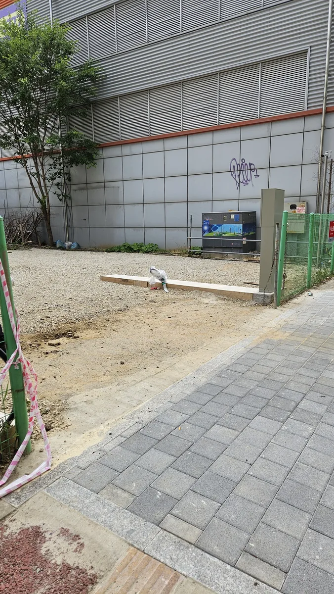 아스팔트 패칭보수 시공 전